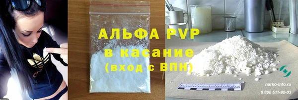 хмурый Аркадак