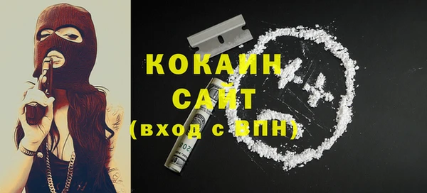 хмурый Аркадак
