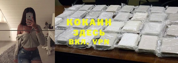 хмурый Аркадак