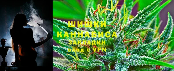 хмурый Аркадак