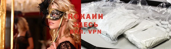 кокс Арсеньев