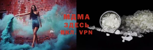 хмурый Аркадак