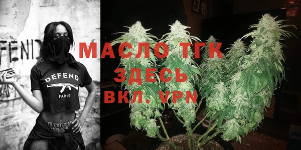 хмурый Аркадак