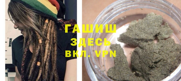 хмурый Аркадак