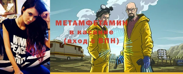 хмурый Аркадак