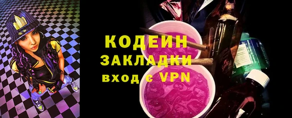 хмурый Аркадак
