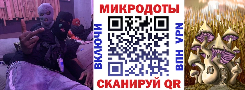 Галлюциногенные грибы Magic Shrooms  нарко площадка какой сайт  Петушки 